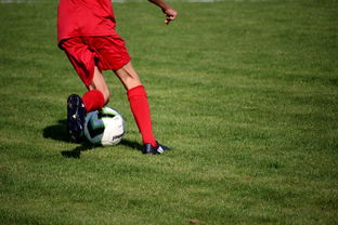 开云kaiyun-中国足球青训体系引进国际先进训练理念，中国足球青训体系是什么